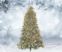 7.5' Christmas Tree (warm white or multicolour lights)