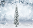 7' Pre Lit Flocked Colorado Slim Tree