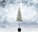 6' Potted Flocked Alpine Tree