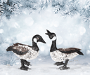 Two decorative goose figures on a snowy background with pine branches.