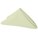 Napkin - Sage Satin