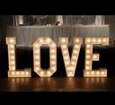 Lifesize LOVE Letters (1 word - 4 letters)