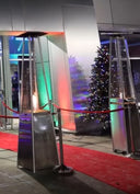 Two patio heaters on a red carpet with a Christmas tree in the background.