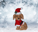 Dog figure wearing a Santa hat and scarf in a snowy background