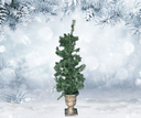 Decorative Christmas tree in a decorative pot against a snowy background with pine branches.