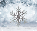 Snowflake with a snowy background