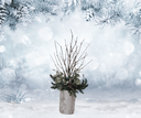 Festive winter arrangement with branches and pinecones in a snowy landscape